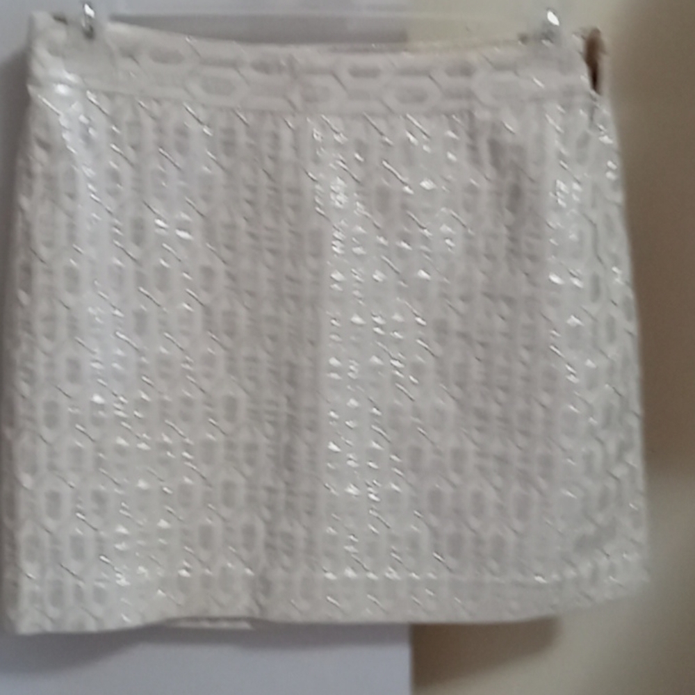 Banana Republic skirt